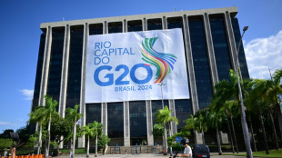 A la espera de Trump, un G20 dividido busca di&aacute;logo en Rio de Janeiro