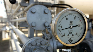 Il prezzo del gas ancora in rialzo, sopra 73 euro con scontri Usa-Iran