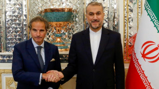 El director del OIEA viaja a Ir&aacute;n en un contexto de temor sobre el programa nuclear iran&iacute;