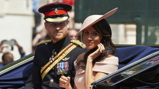 Enrique y Meghan son ciudadanos que act&uacute;an a t&iacute;tulo privado en Reino Unido, afirma el rey Carlos