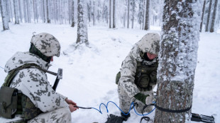 In Finland's forests, soldiers re-learn how to lay anti-personnel mines