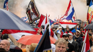 Pays-Bas: 37 arrestations après une manifestation anti-immigration
