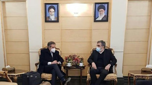 Nucl&eacute;aire: l'Iran et l'AIEA d'accord sur un m&eacute;canisme, la Russie entre en jeu