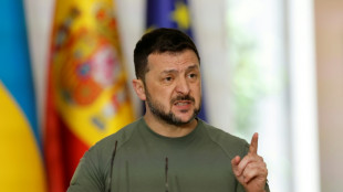 Zelenski pide a Occidente "usar todos los medios" para forzar a Mosc&uacute; a la paz