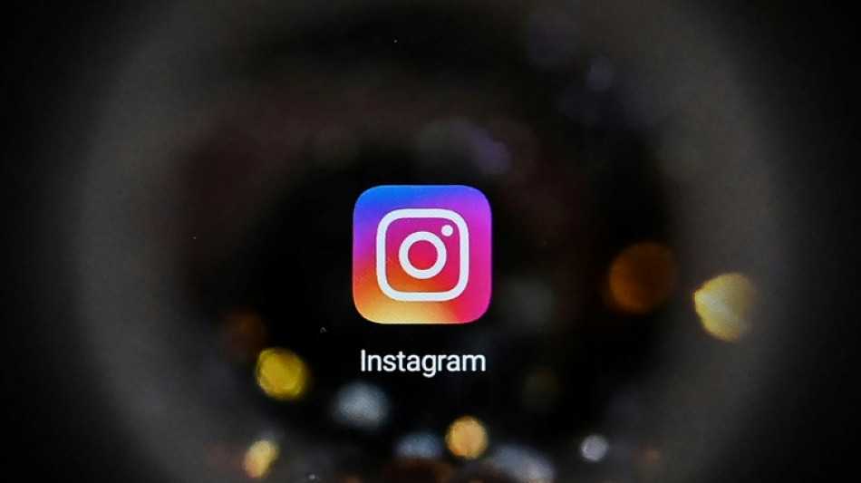 Turqu&iacute;a bloquea el acceso a Instagram