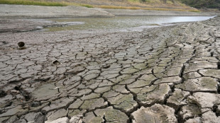 UNO rechnet mit st&auml;rkstem El Ni&ntilde;o seit Beginn der Aufzeichnungen vor 40 Jahren