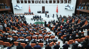 Turqu&iacute;a proh&iacute;be las redes sociales a ni&ntilde;os y adolescentes de menos de 15 a&ntilde;os