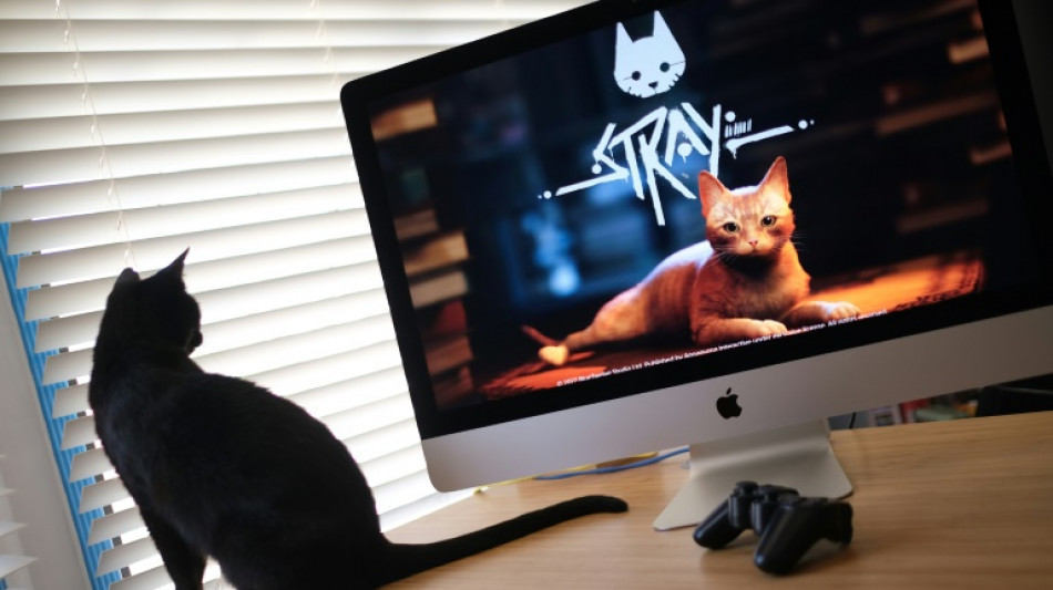 "Stray", jeu vid&eacute;o fran&ccedil;ais pr&eacute;f&eacute;r&eacute; des chats, sacr&eacute; meilleur titre ind&eacute;pendant aux Game Awards
