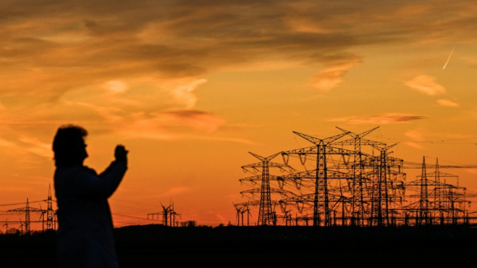 Germany probes latest sabotage attacks on power grid