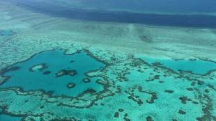 Great Barrier Reef risks 'in danger' World Heritage listing