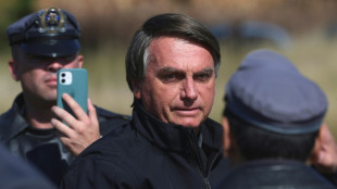 Musk, Bolsonaro talk free speech, deforestation in Brazil