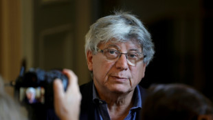 El bloque presidencial franc&eacute;s obtiene la mayor&iacute;a de las comisiones en la Asamblea Nacional