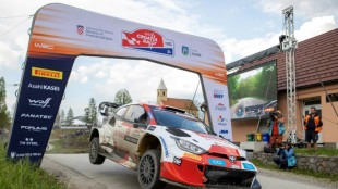 Rallye de Croatie: Ogier ralenti par deux crevaisons et une p&eacute;nalit&eacute;, Neuville leader