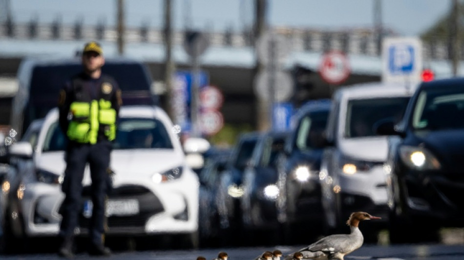 Priorit&eacute; aux palmip&egrave;des: Varsovie arr&ecirc;te la circulation pour le passage des harles