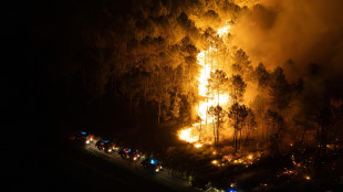 Incendio in un parco naturale in Belgio, bruciati 3.000 ettari