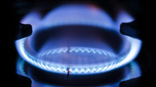 Il gas si mantiene sotto i 31 euro sulla piazza Ttf di Amsterdam