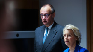 Von der Leyen sente Merz, 'attacchi ibridi russi avranno una risposta'