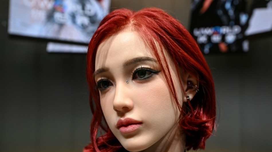 Rob&ocirc; chin&ecirc;s promete fazer companhia a quem se sente s&oacute;