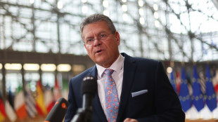 Ue, incontro Sefcovic-Greer sui dazi mercoledì a Parigi
