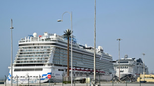 Mideast war traps 20,000 seafarers, 15,000 cruise passengers in Gulf 