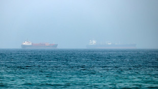 Missile colpisce nave emiratina nello Stretto di Hormuz, 'nessun ferito'