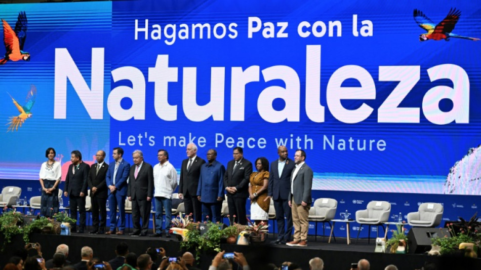"Crisis existencial": jefe de ONU alerta sobre la destrucci&oacute;n de la naturaleza en la COP16