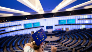 Chipre env&iacute;a al Parlamento Europeo a una estrella de internet de 24 a&ntilde;os