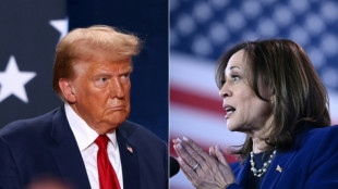 Harris y Trump comienzan re&ntilde;ido &uacute;ltimo fin de semana de campa&ntilde;a