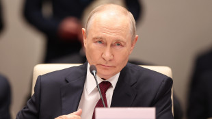 Putin, 'la Germania ci accusa per ragioni di politica interna'