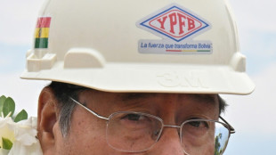 Arce propone un refer&eacute;ndum para definir si la reelecci&oacute;n presidencial en Bolivia es "continua"