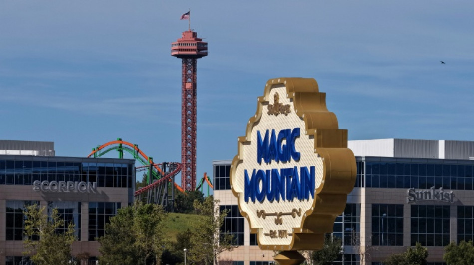 California roller coaster shut after brain damage claims