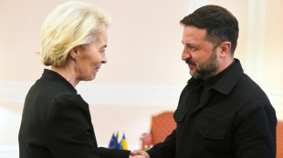 Von der Leyen a Zelensky, conta su di noi per una pace giusta