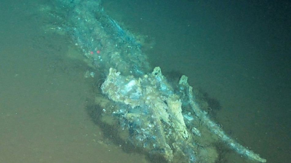 World's largest whale graveyard discovered by Chinese sub