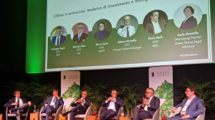 Bufo (Iren),finita dipendenza gas russo, su transizione realismo