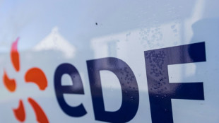 Prix de l'&eacute;lectricit&eacute;: les salari&eacute;s d'EDF en gr&egrave;ve  contre la "fragilisation" de leur groupe