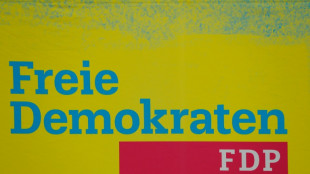 FDP-Fraktionschef: "Ampel" muss Inhalte und Priorit&auml;ten auf den Pr&uuml;fstand stellen