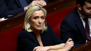 Attal et la gauche chargent Le Pen avant son meeting à Paris