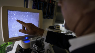 Trovato l'interruttore genetico per la riproduzione delle piante
