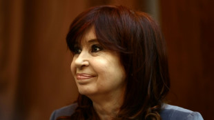 Kirchner reclam&oacute; a un tribunal investigar a los ide&oacute;logos del atentado en su contra en Argentina