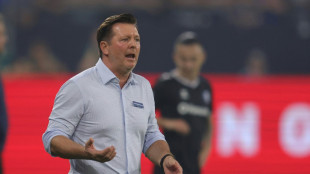 1.FC Magdeburg verl&auml;ngert mit Cheftrainer Titz