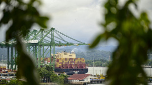 Sequ&iacute;a lastra ingresos r&eacute;cord del canal de Panam&aacute;