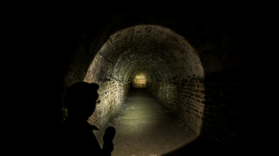 Lyon: une visite virtuelle pour dissiper le myst&egrave;re des "Ar&ecirc;tes de poissons" romaines
