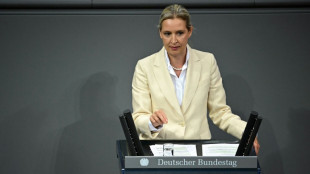 Líder de extrema derecha alemana critica viaje de sus legisladores a Rusia