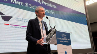 Di Sarcina (Adsp), in Sicilia orientale 500mila croceristi