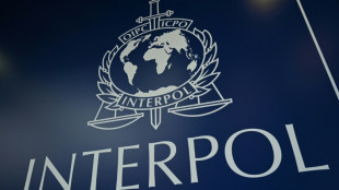 M&aacute;s de 2.500 detenidos en operaci&oacute;n global de Interpol contra trata de personas