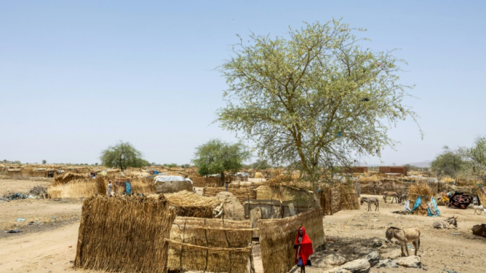 Tras un a&ntilde;o de guerra en Sud&aacute;n los supervivientes intentan salir adelante en Chad
