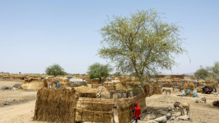 Tras un a&ntilde;o de guerra en Sud&aacute;n los supervivientes intentan salir adelante en Chad