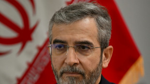 Israel cometi&oacute; un "error estrat&eacute;gico" con el asesinato de Haniyeh, dice un ministro iran&iacute;