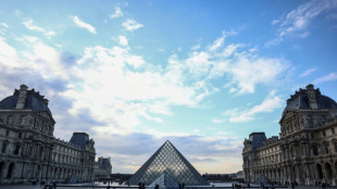 Au Louvre, un pr&eacute;avis de "gr&egrave;ve reconductible" des personnels pour lundi prochain