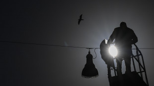 Stacanovisti al lavoro, sono il 6,6% in Europa